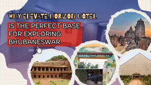 Why Elevate Horizon Hotel Is the Perfect Base for Exploring Bhubaneswar
